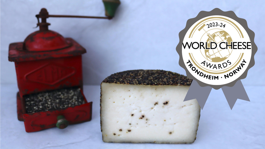 El queso de cabra curado con pimienta de Quesería Cortijo el Aserradero premiado en los World Cheese Awards